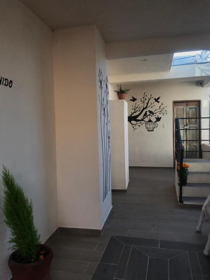 Casa Los Naranjos San Miguel de Allende Exterior foto